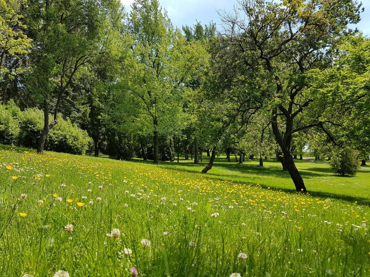 Zánka Vízparti Üdülő Exterior foto